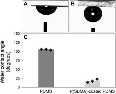 Zwitterionic poly(sulfobetaine methacrylate)-based hydrogel coating for drinking water distribution systems to inhibit adhesion of waterborne bacteria